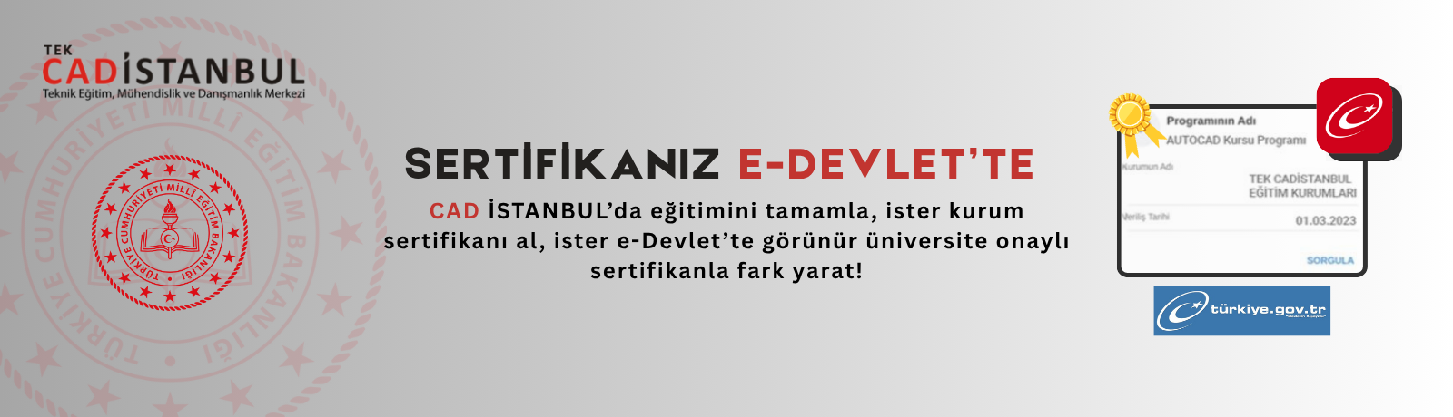 CAD İSTANBUL’da Alacağın Eğitim Sonrası Sertifikan E-Devlet’te (1)